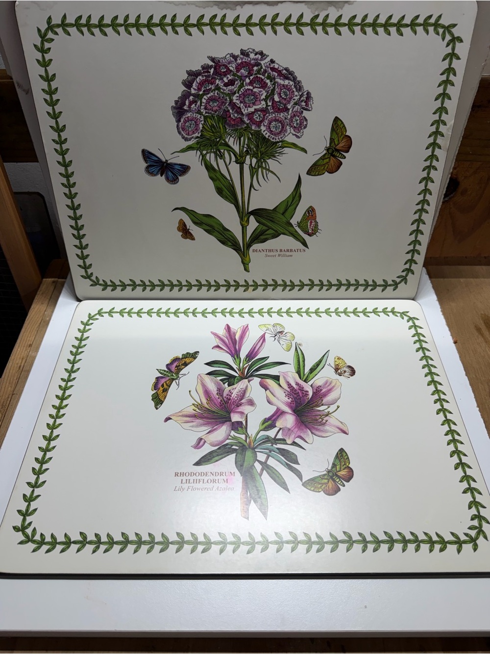 Pimpernel Set of 4 Botanical Floral Cork Back Placemats Butterflies